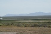 Hay Fields along Highway Nevada 318