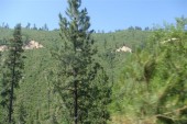 The road over the pass to Old Idaho City