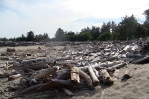 dsc01438-cape-disappointment