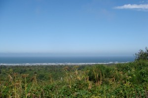 12-cape-disappointment1