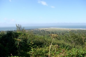 13-cape-disappointment