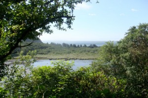 9-cape-disappointment