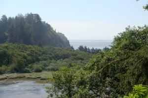 dsc01492-cape-disappointment