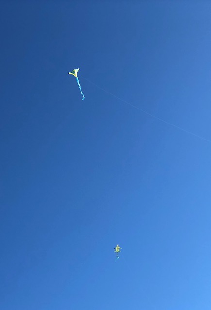 Kites in the Sky