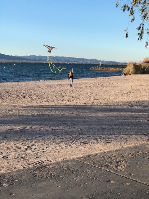 Flying kites